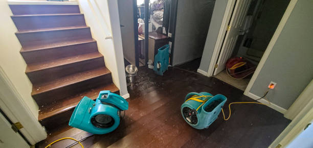 Best Flooded house restoration  in Cherry Creek, CO