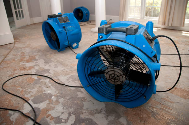 Best Water damage restoration near me  in Cherry Creek, CO