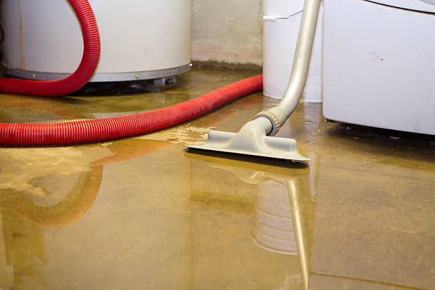Best Local water damage restoration  in Cherry Creek, CO